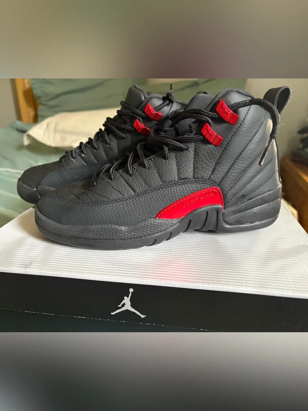 Jordan retro 12